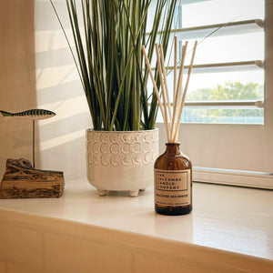 Decorative items including a potted plant, and Salcombe Sea Breeze Reed Diffuser.